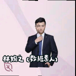 林婉之 (数据素人)