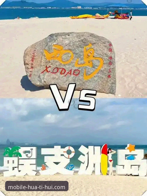 华体会专业娱乐 vs 普通平台：新手选哪个更好？全面对比分析